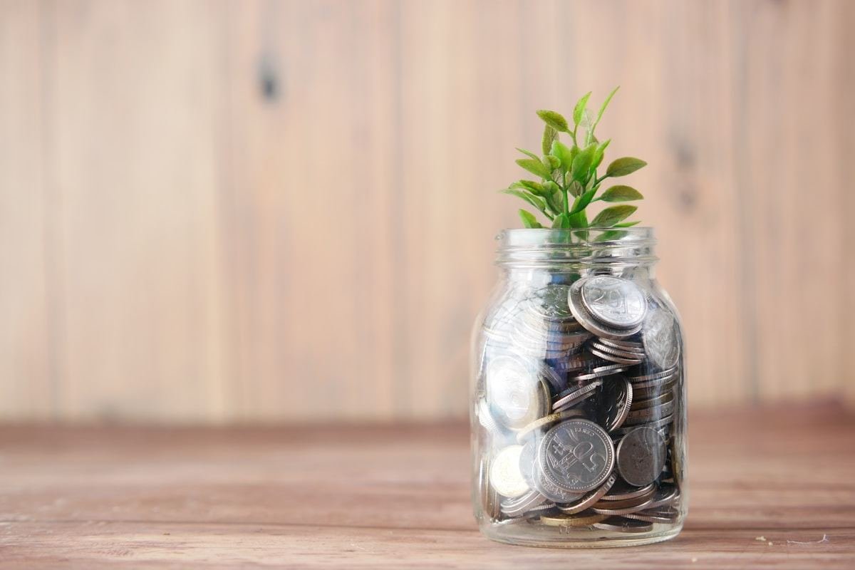 Tarro de cristal lleno de monedas con una pequeña planta creciendo dentro